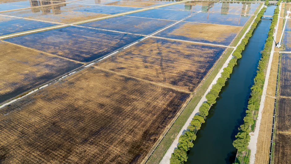 فیلتر دیسکی ۲ اینچ - خرید تجهیزات کشاورزی نیو دراپ